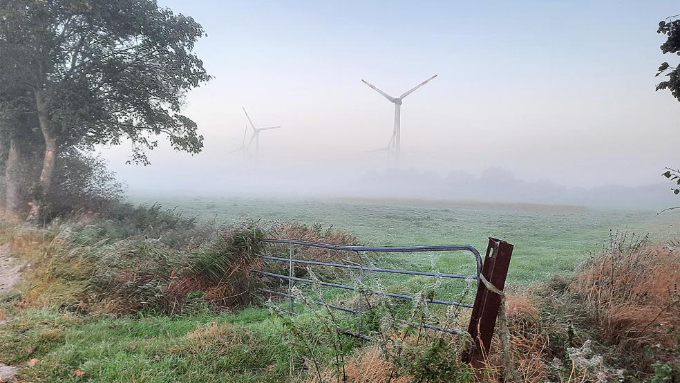 Der Windpark in Holtgaste ist bislang der einzige in der Gemeinde Jemgum. Denn bisher verhindern Vogelschutz- und Naturschutzgebiete den Bau weiterer Windkraftanlagen. Weil angesichts der Abhängigkeit von Energieimporten aus Russland die Bestimmungen gelockert werden sollen, könnte sich das in Zukunft ändern.  © Foto: Szyska