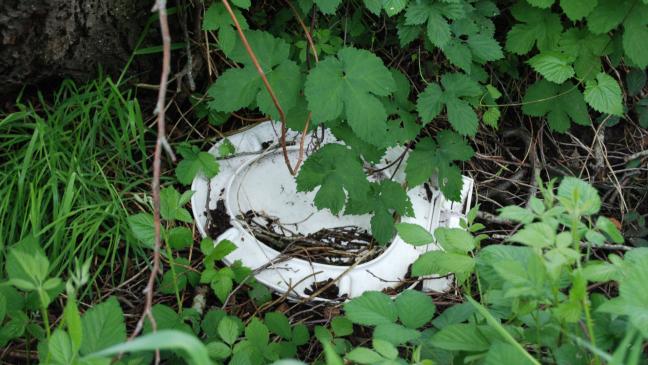 Einfach so in die Natur gekippt