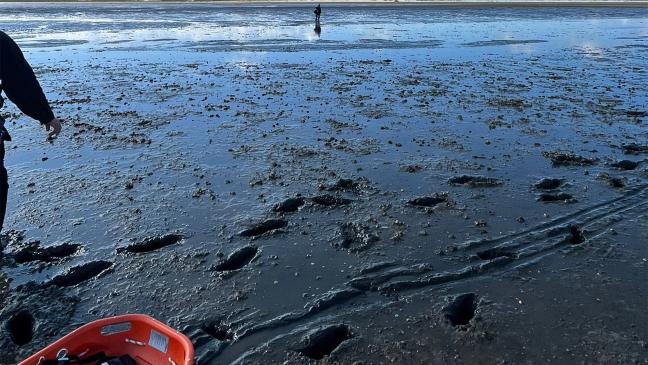 Feuerwehr rettet Mann aus dem Watt