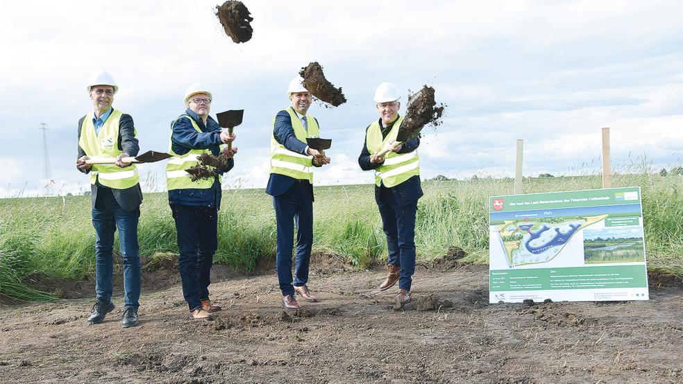 Dirk Post, Betriebsleiter NLWKN Aurich, Westoverledingens Bürgermeister Theo Douwes, Umweltminister Olaf Lies und der Leeraner Landrat Matthias Groote setzten den Spatenstich im Tidepolder Coldemüntje.  © Foto: Geschäftsstelle Masterplan Ems