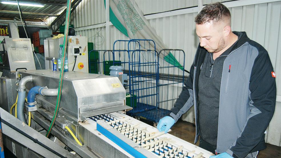Die Ernte geht weiter, auch wenn die Preise einbrechen: Daniel Santen beim Sortieren von Spargelstangen.  © Foto: Hoegen
