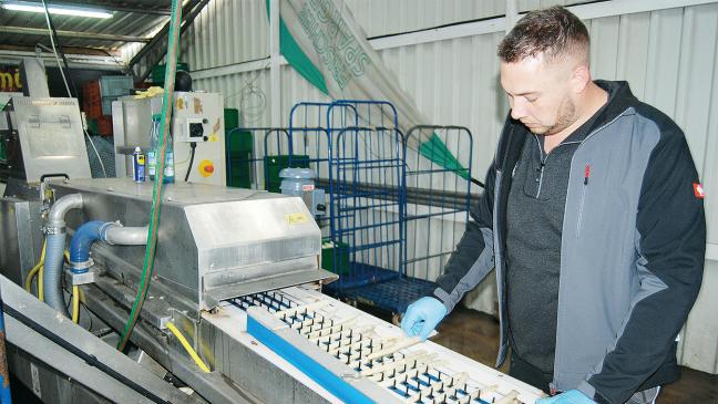 Die Gastronomie hält zur Stange