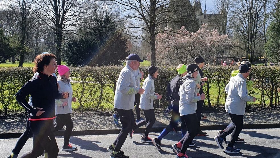 Die Laufgruppen bei einem gemeinsamen Lauf an einem Sonntag bei der Evenburg-Allee in Leer. © privat