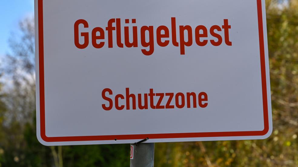 Im Landkreis Aurich gibt es einen Fall von Geflügelpest, was auch Auswirkungen auf den Nachbar-Landkreis Leer hat. © dpa