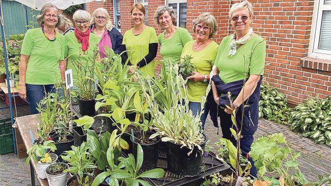 Stauden-Verkauf für neue Projekte