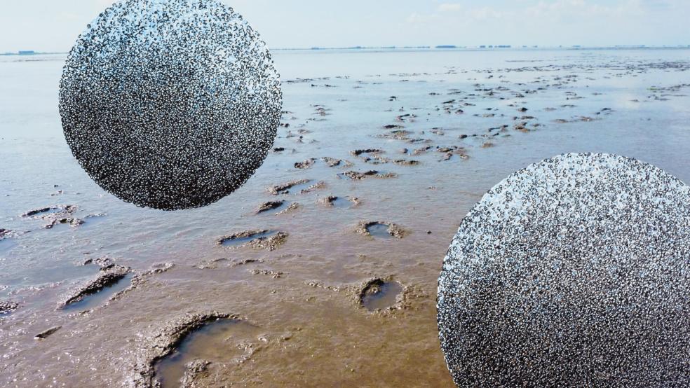 Zeichnung auf Fotografie: Für ihr Werk »Watt am Dollart« (2014/2021) ließ sich die Bremer Künstlerin Edith Punth vom Rheiderland inspirieren. © Foto: Jürgen Bambrowicz (Kunsthaus Leer)