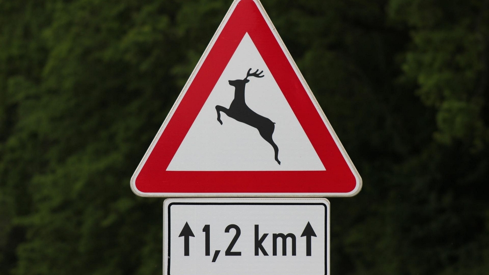 Ein Wildwechsel führte in Hagermarsch im Kreis Aurich zu einem tödlichen Unfall eines jungen Mofafahrers. © Pixabay (Symbolbild)