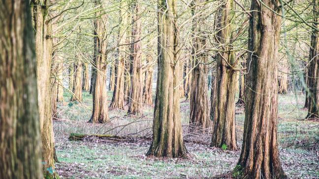 Dialog um Hessepark-Zukunft