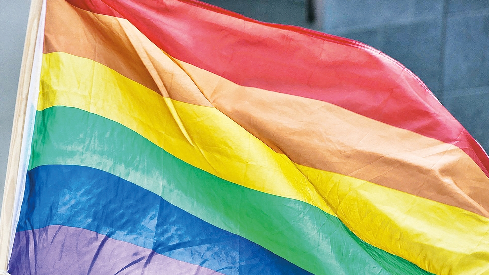 Die Regenbogen-Farbe steht für Toleranz, Vielfalt und Akzeptanz. Am kommenden Dienstag wird sie in der Evenburg-Kaserne in Leer gehisst - ein bewusstes Zeichen.  © Foto: pixaday