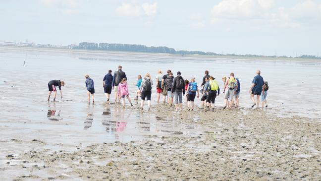 Wanderung zum Wattenmeer-Geburtstag