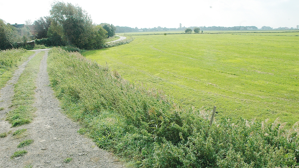 Das Grundstück für den Krippen-Neubau befindet sich an der Ecke »Toter Weg« (im Hintergrund) und »Amelborgster Weg« (im Vordergrund) am nordwestlichen Ortsrand.  © Foto: Szyska