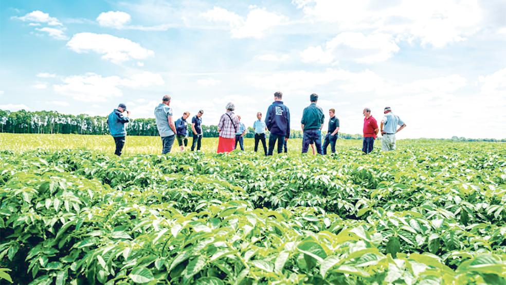 Auf Einladung der Groninger Landschaft machten sich jüngst Landwirte aus der Region bei Winschoten ein Bild von den ersten Ergebnissen des Pilotprojekts.  © Foto: Groninger Landschaft