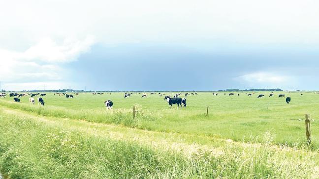 Warum enden Proteste an der Grenze?