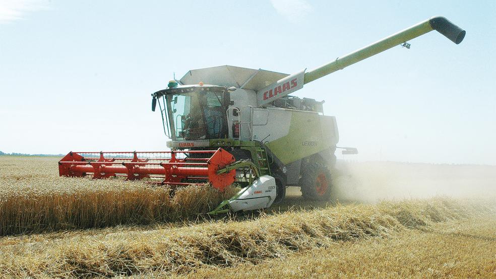 Wer einmal die Ernte von Getreide auf einem Mähdrescher miterleben möchte, kann sich an den Zweigverein Rheiderländer Marsch wenden. Willkommen sind sowohl Kinder als auch Erwachsene.  © Foto: Szyska