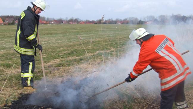 Böschung an der  L 31 brannte