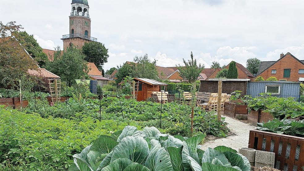 Zwischen der reformierten Kirche (im Hintergrund) auf der einen und der Mühle an der Kreuzstraße auf der anderen Seite ist im Wierde-Park ein Projekt-Garten entstanden, an dem sich verschiedene Kulturen und Generationen beteiligen.  © Foto: Szyska