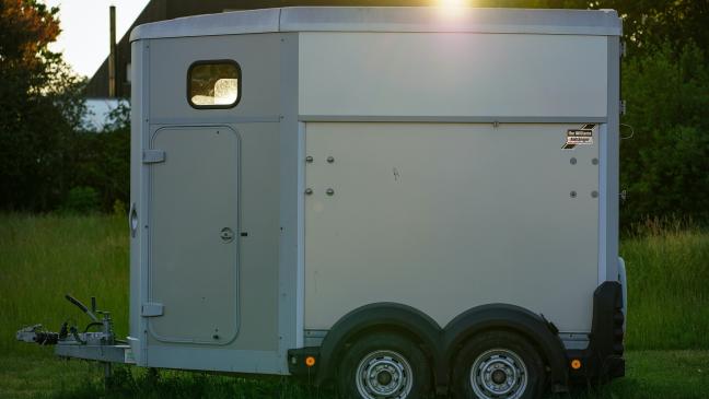 Mit Pferdeanhänger zum Festival: Jemgumerin erlebt böse Überraschung