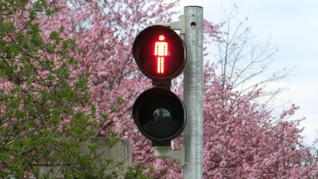 Ampel erst bei Stempel unterm Haushalt