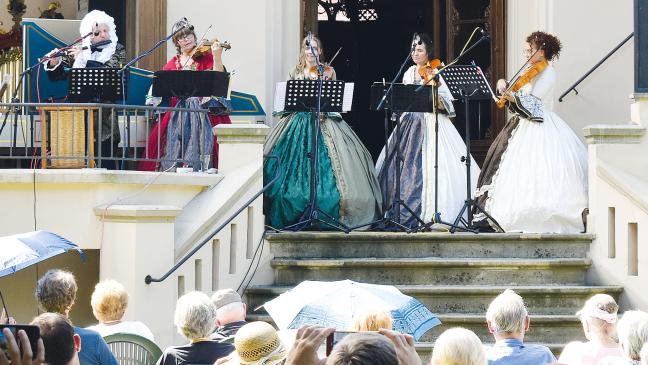 Frühling, Sommer und ein farbenprächtiger Sänger