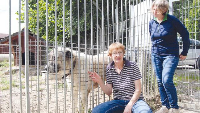 Stabwechsel  im Tierheim