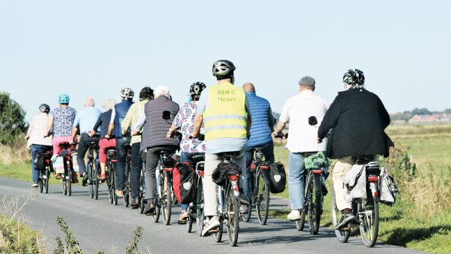 »Gruppenradeln«: Wenn 15 Fahrer einen Verband bilden