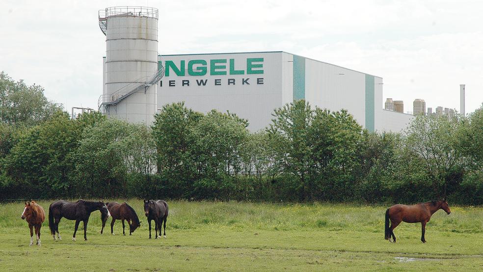 Im Papierwerk von Klingele in Weener wird die Produktion ab dem 14. August eine Woche lang ruhen.  © Foto: Szyska