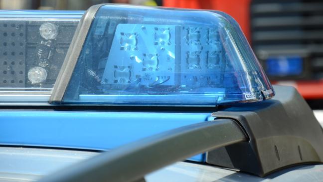 Polizei muss 400 Cannabis-Pflanzen selbst abernten