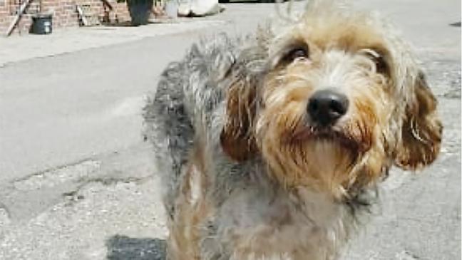 Liebenswert und ruhig