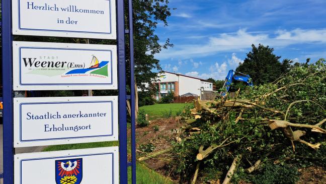 Fällarbeiten »vorher nicht absehbar«