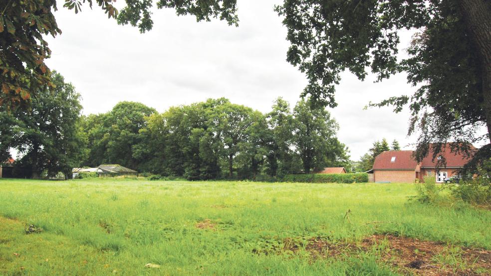 Aus Grünland wird Bauland: 2023 wird auch auf diesem Areal in Stapelmoorerheide gebaut werden können.  © Foto: Hoegen