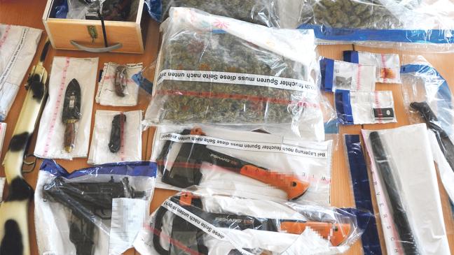 Schlag gegen organisierte Kriminalität