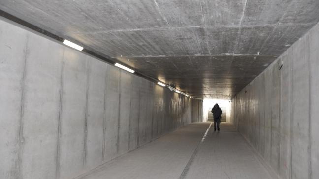 Schmierfinken im Tunnel