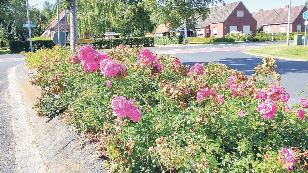 Lasst Blumen blühen: Im Herbst plant der Dorfverein Stapelmoor eine neue Pflanzaktion.  © Foto: Dorfverein