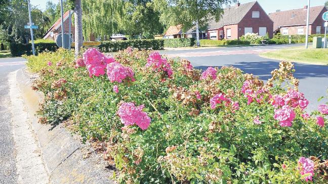 In zwei Jahren feiert Stapelmoor seinen 600. Geburtstag