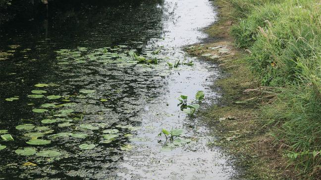 Wie können Wasserstände hochgehalten werden?