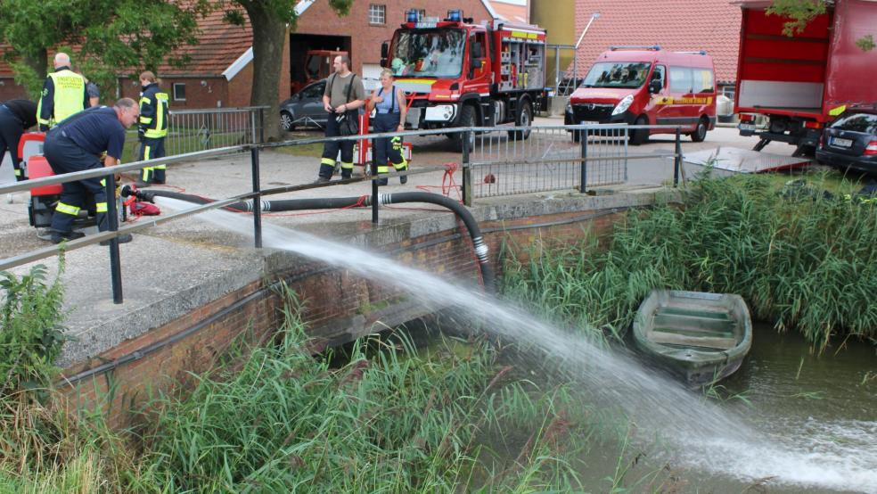 Mehrere Fische trieben tot auf dem Sieltief. Die Feuerwehr sorgte mit einer Pumpe dafür, dass Bewegung ins Wasser kam, um ein weiteres Sterben zu verhindern.  © Foto: Privat