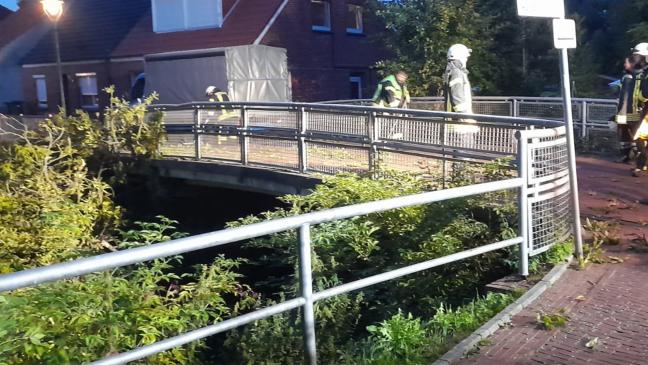 Feuerwehr beseitigt umgestürzte Kastanie