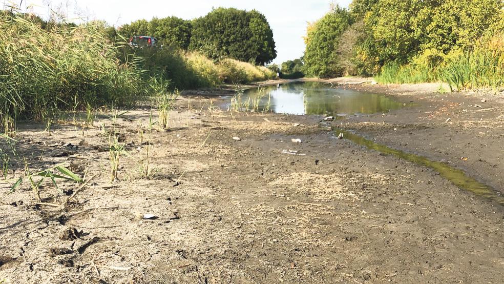 Das Sieltief am Marker Weg in Weener ist zu großen Teilen ausgetrocknet.  © Foto: Busemann