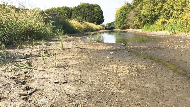 Trockenwüste im Sieltief