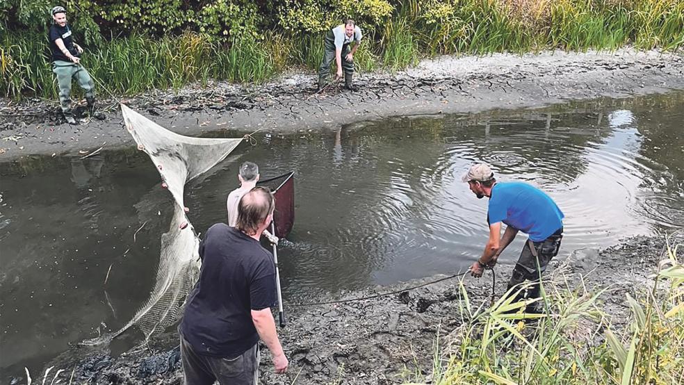 Mit Keschern wurden die Fische aus dem Sieltief am Marker Weg herausgeholt und in ein anderes Gewässer umgesetzt. © Foto: Privat