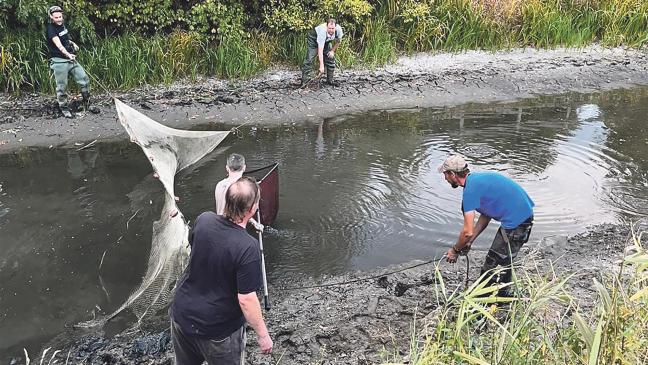70 Fische aus Sieltief geholt