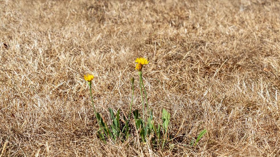 Im August gab es nicht mal 30 Prozent der sonst üblichen Regenmenge in diesem Monat.<br />  © Foto: Pixabay