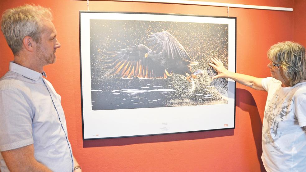 Die »Glanzlichter der Naturfotografie« werden im Heimatmuseum präsentiert.  © Foto: Ammermann