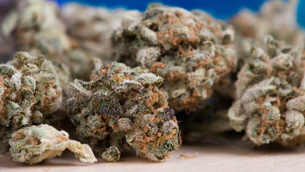 Die Angeklagte nahm 66 Gramm Marihuana an sich, das die Polizei bei der Durchsuchung einer Gartenhütte übersehen hatte, um es selbst zu konsumieren.  © Pixabay (Symbolfoto)