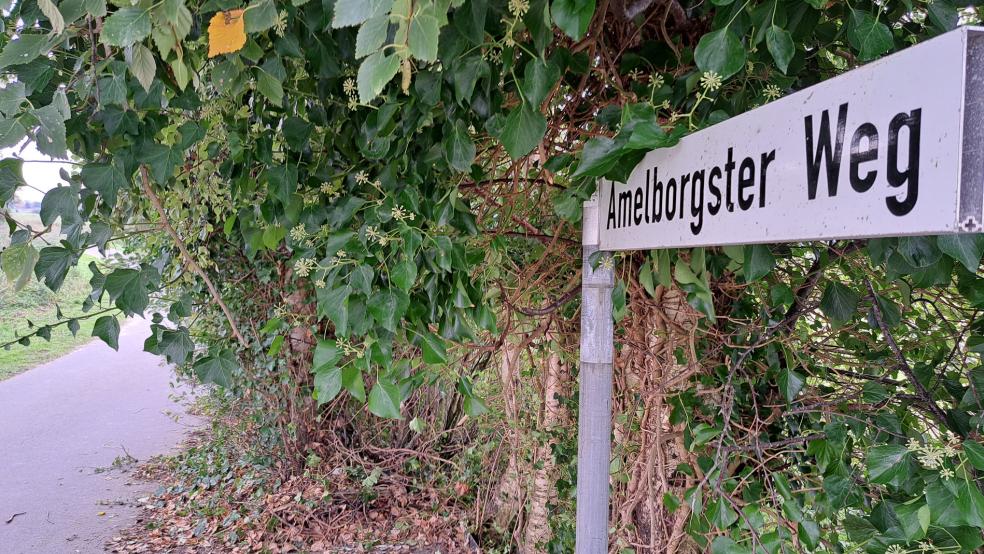 Der erfolgte Abbruch der hölzernen Schutzhütte an der Ecke Toter Weg/Amelborgster Weg am Ortsrand von Jemgum ist der erste sichtbare Hinweis, dass der Bau der neuen Krippe zur Betreuung von Kleinkindern in Kürze beginnen soll.  © Foto: Szyska