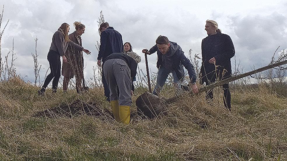 Im Westerhammrich in Leer pflanzen die Schüler seit einigen Jahren einen UEG-Wald. © Foto: privat