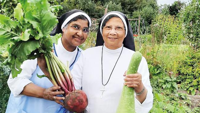 Ordensschwestern stolz auf die Ernte