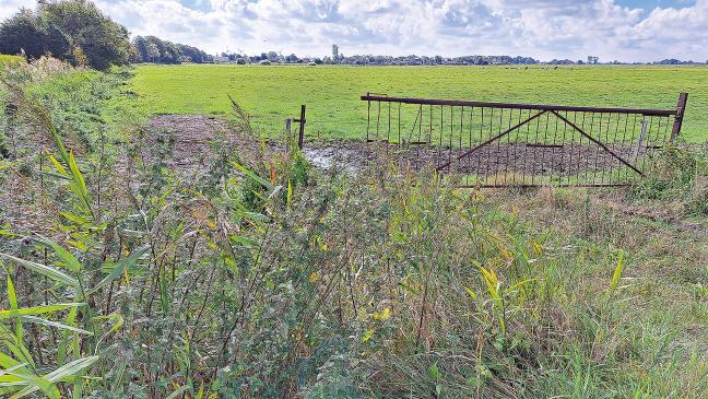 Weg geebnet für Baugebiete