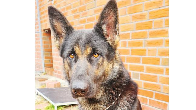 »Bonnie« mag auch alle Kinder