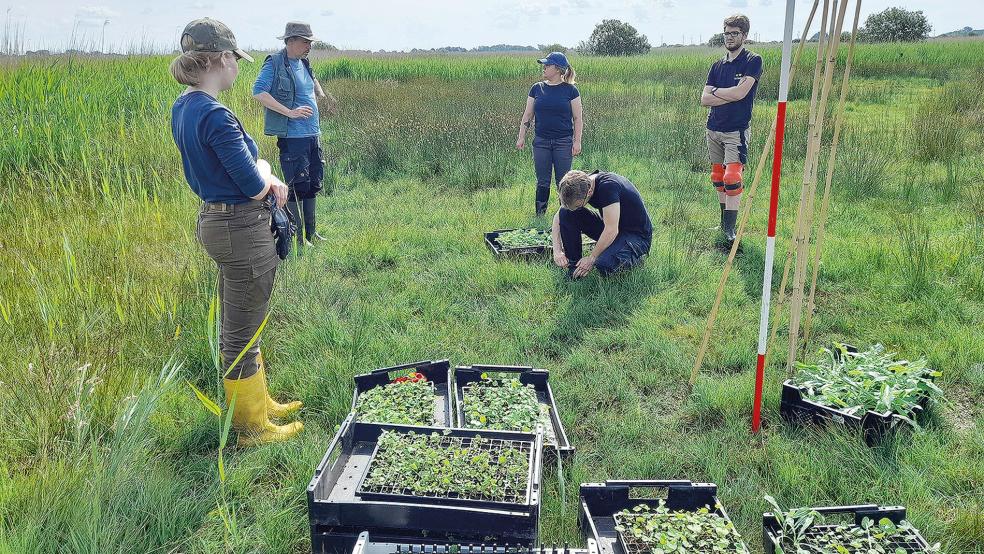  © Foto: Uwe Gerhardt